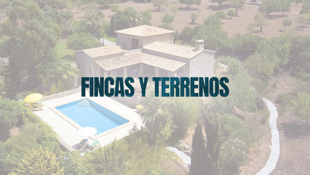 Fincas y Terrenos en venta