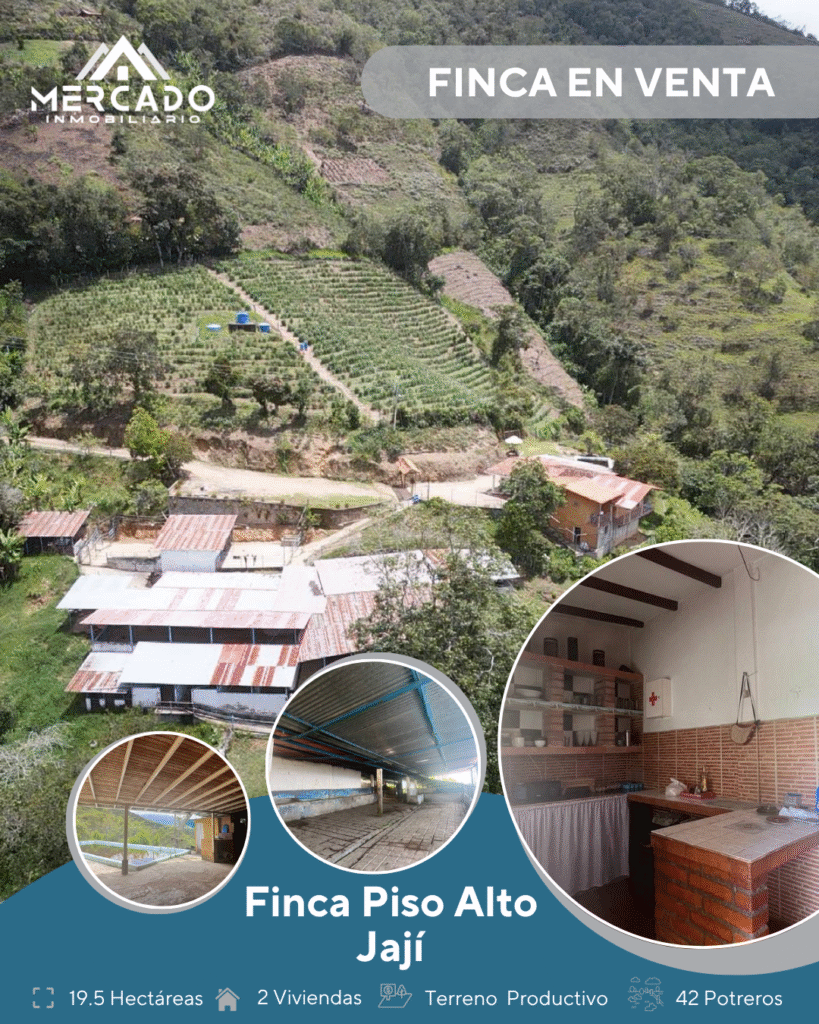 Mercado Inmobiliario Vende Espectacular Finca Piso Alto. Parroquia Jají, Municipio Campo Elías. Estado Mérida.