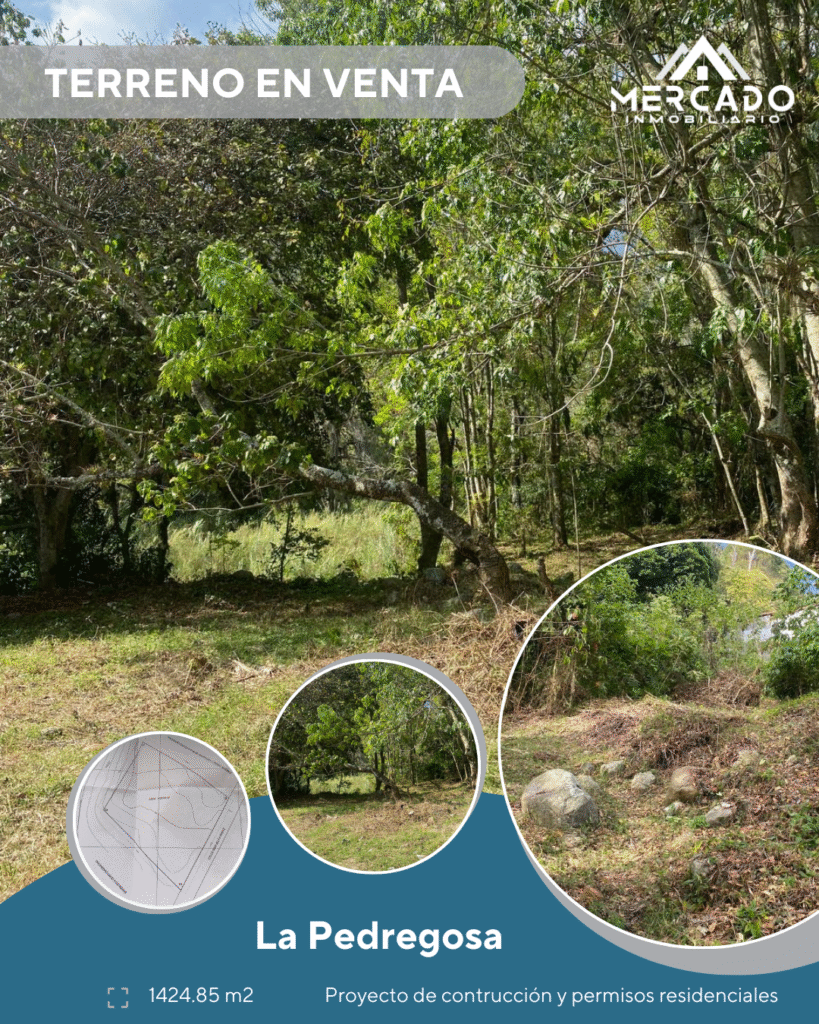 Se vende terreno en la Pedrogosa, Mérida Venezuela