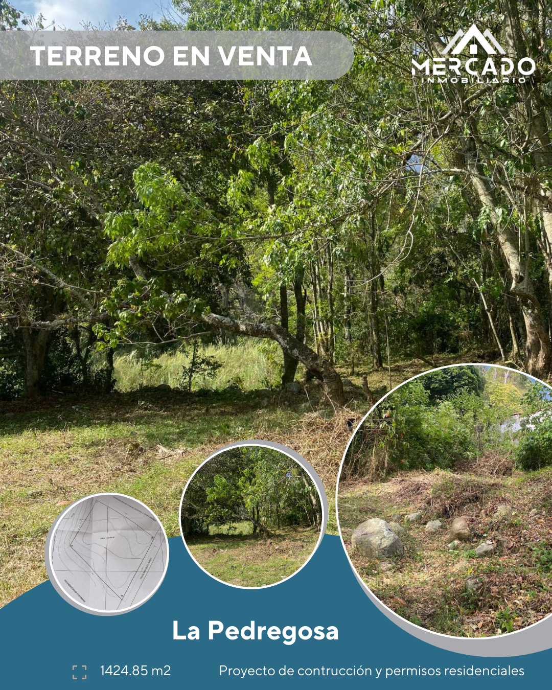 Se vende terreno en la Pedrogosa, Mérida Venezuela