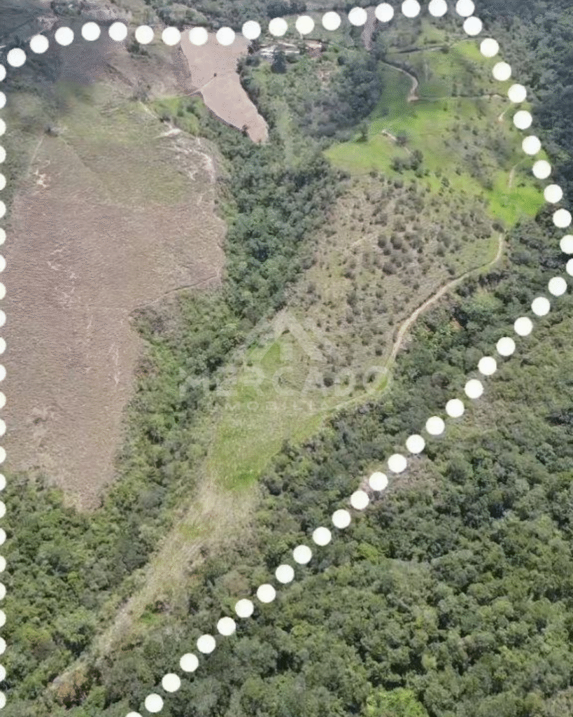 Mercado Inmobiliario Vende Espectacular Finca Piso Alto. Parroquia Jají, Municipio Campo Elías. Estado Mérida.
